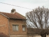 Storch